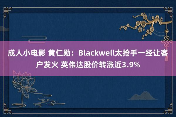 成人小电影 黄仁勋：Blackwell太抢手一经让客户发火 英伟达股价转涨近3.9%