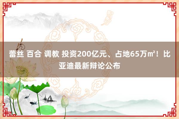 蕾丝 百合 调教 投资200亿元、占地65万㎡！比亚迪最新辩论公布