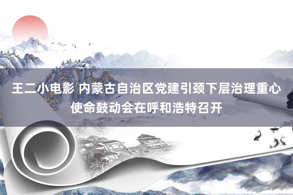 王二小电影 内蒙古自治区党建引颈下层治理重心使命鼓动会在呼和浩特召开