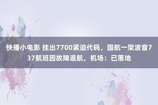 快播小电影 挂出7700紧迫代码，国航一架波音737航班因故障返航，机场：已落地