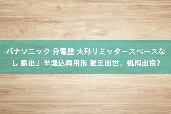 パナソニック 分電盤 大形リミッタースペースなし 露出・半埋込両用形 猴王出世，机构出货？