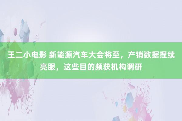 王二小电影 新能源汽车大会将至，产销数据捏续亮眼，这些目的频获机构调研