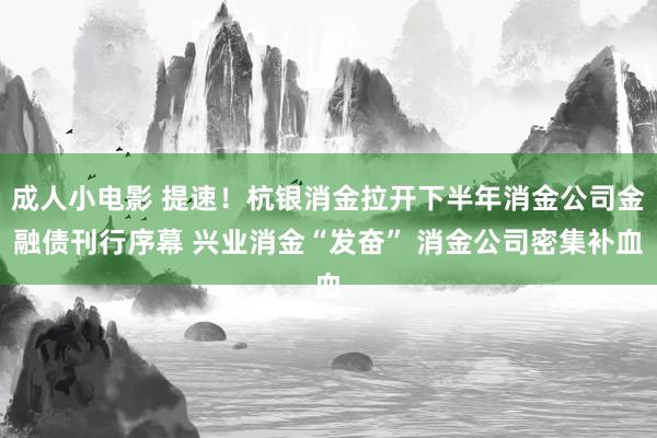 成人小电影 提速！杭银消金拉开下半年消金公司金融债刊行序幕 兴业消金“发奋” 消金公司密集补血