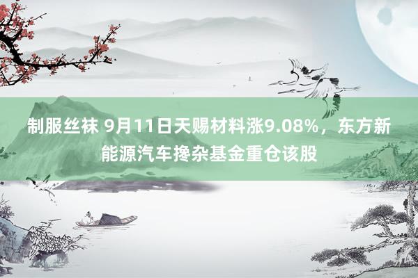 制服丝袜 9月11日天赐材料涨9.08%，东方新能源汽车搀杂基金重仓该股