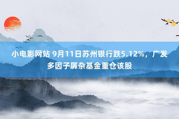 小电影网站 9月11日苏州银行跌5.12%，广发多因子羼杂基金重仓该股