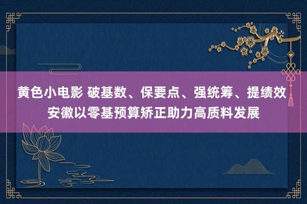 黄色小电影 破基数、保要点、强统筹、提绩效 安徽以零基预算矫正助力高质料发展