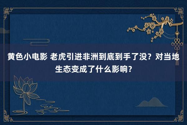 黄色小电影 老虎引进非洲到底到手了没？对当地生态变成了什么影响？