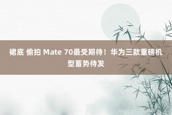 裙底 偷拍 Mate 70最受期待！华为三款重磅机型蓄势待发