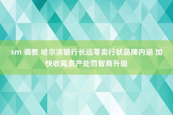 sm 调教 哈尔滨银行长远零卖行状品牌内涵 加快收尾资产处罚智商升级