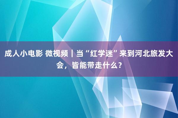 成人小电影 微视频｜当“红学迷”来到河北旅发大会，皆能带走什么？