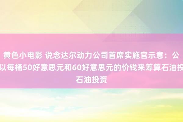 黄色小电影 说念达尔动力公司首席实施官示意：公司以每桶50好意思元和60好意思元的价钱来筹算石油投资