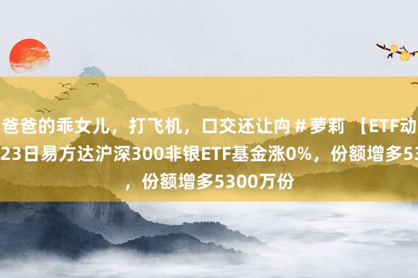 爸爸的乖女儿，打飞机，口交还让禸＃萝莉 【ETF动向】9月23日易方达沪深300非银ETF基金涨0%，份额增多5300万份