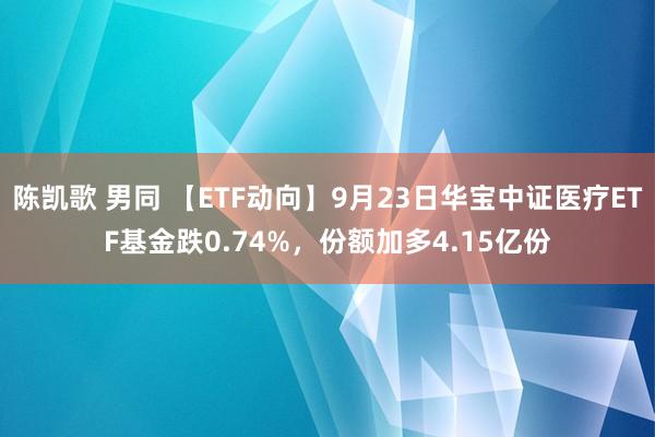 陈凯歌 男同 【ETF动向】9月23日华宝中证医疗ETF基金跌0.74%，份额加多4.15亿份