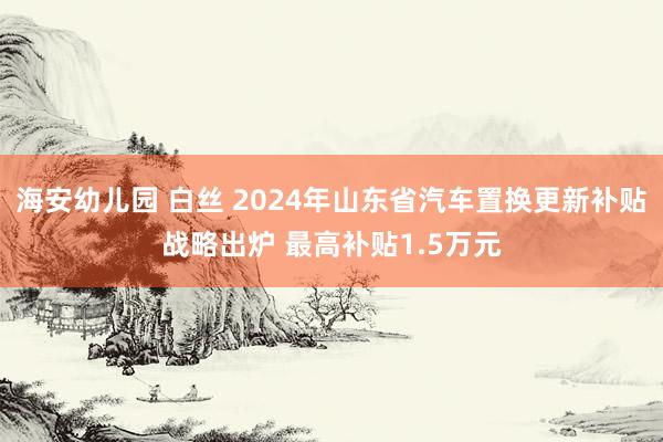 海安幼儿园 白丝 2024年山东省汽车置换更新补贴战略出炉 最高补贴1.5万元