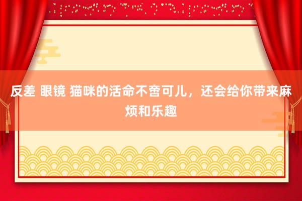 反差 眼镜 猫咪的活命不啻可儿，还会给你带来麻烦和乐趣