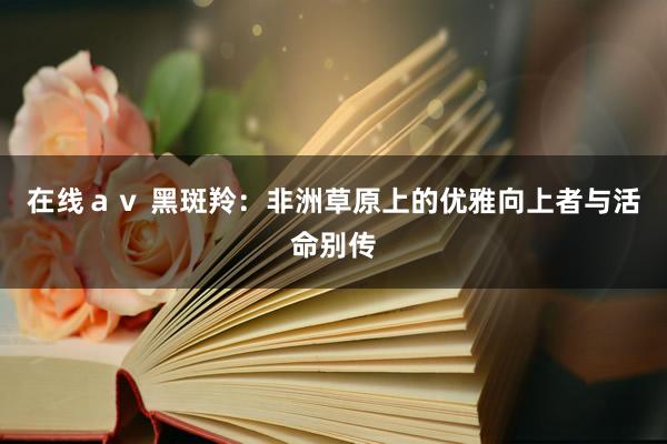 在线ａｖ 黑斑羚：非洲草原上的优雅向上者与活命别传