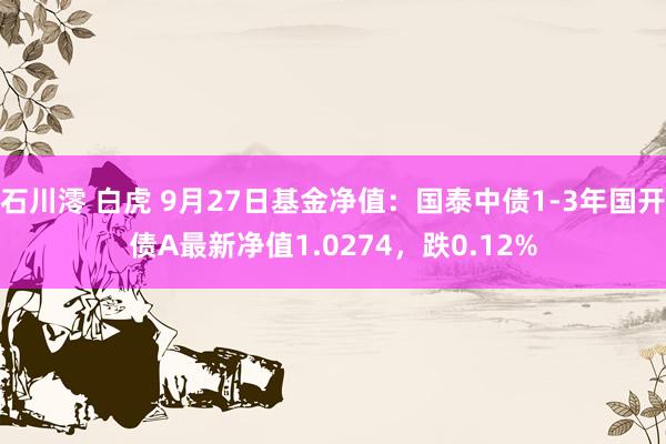 石川澪 白虎 9月27日基金净值：国泰中债1-3年国开债A最新净值1.0274，跌0.12%