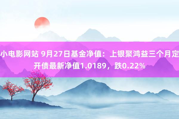 小电影网站 9月27日基金净值：上银聚鸿益三个月定开债最新净值1.0189，跌0.22%