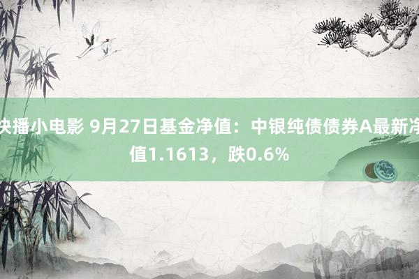 快播小电影 9月27日基金净值：中银纯债债券A最新净值1.1613，跌0.6%