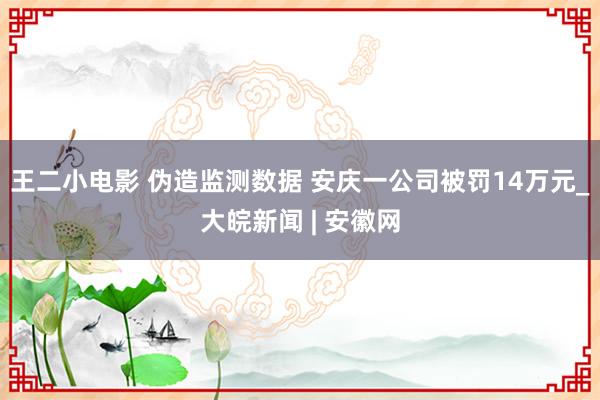 王二小电影 伪造监测数据 安庆一公司被罚14万元_大皖新闻 | 安徽网