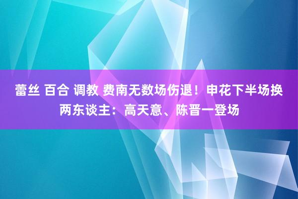 蕾丝 百合 调教 费南无数场伤退！申花下半场换两东谈主：高天意、陈晋一登场