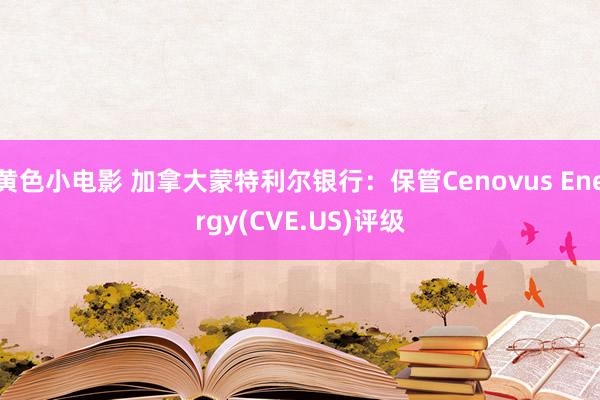 黄色小电影 加拿大蒙特利尔银行：保管Cenovus Energy(CVE.US)评级