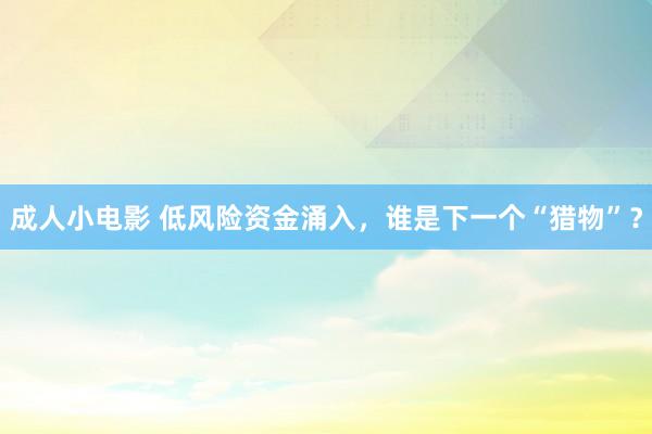 成人小电影 低风险资金涌入，谁是下一个“猎物”？