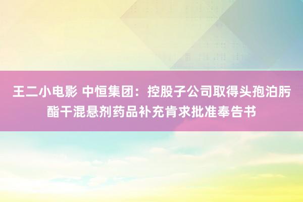 王二小电影 中恒集团：控股子公司取得头孢泊肟酯干混悬剂药品补充肯求批准奉告书