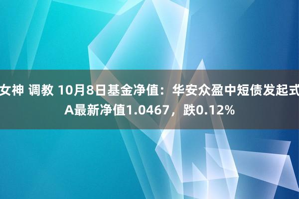 女神 调教 10月8日基金净值：华安众盈中短债发起式A最新净值1.0467，跌0.12%