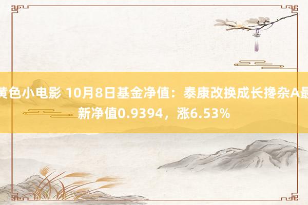 黄色小电影 10月8日基金净值：泰康改换成长搀杂A最新净值0.9394，涨6.53%