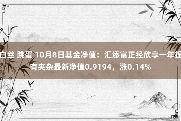 白丝 跳蛋 10月8日基金净值：汇添富正经欣享一年捏有夹杂最新净值0.9194，涨0.14%