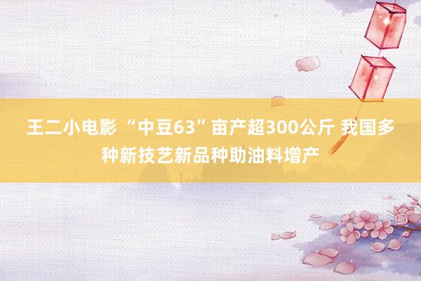 王二小电影 “中豆63”亩产超300公斤 我国多种新技艺新品种助油料增产