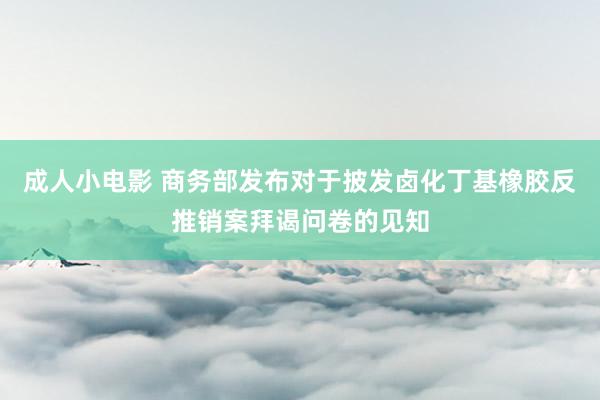 成人小电影 商务部发布对于披发卤化丁基橡胶反推销案拜谒问卷的见知