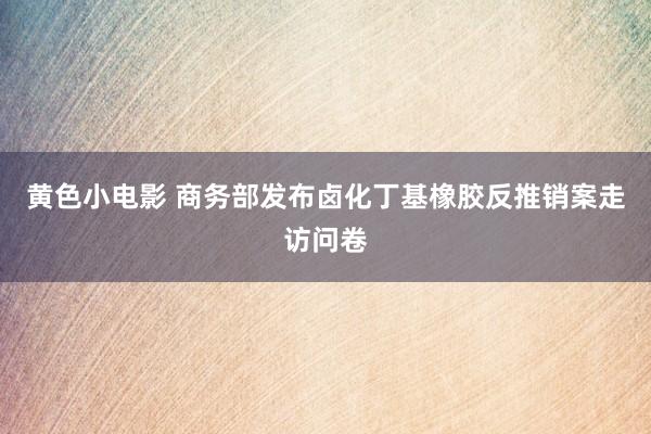 黄色小电影 商务部发布卤化丁基橡胶反推销案走访问卷