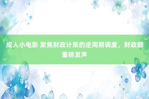 成人小电影 聚焦财政计策的逆周期调度，财政部重磅发声