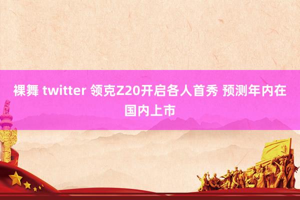 裸舞 twitter 领克Z20开启各人首秀 预测年内在国内上市