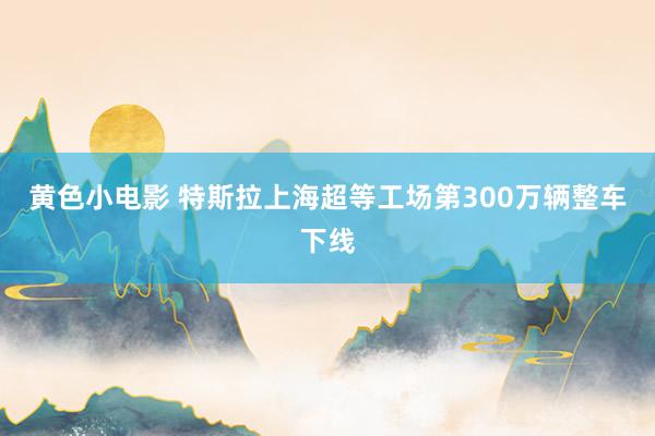 黄色小电影 特斯拉上海超等工场第300万辆整车下线