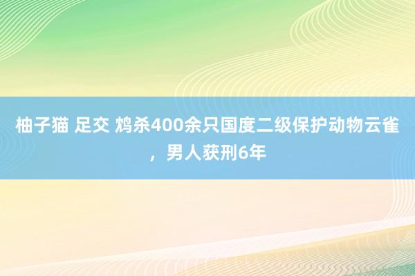 柚子猫 足交 鸩杀400余只国度二级保护动物云雀，男人获刑6年