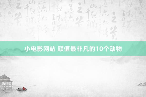 小电影网站 颜值最非凡的10个动物