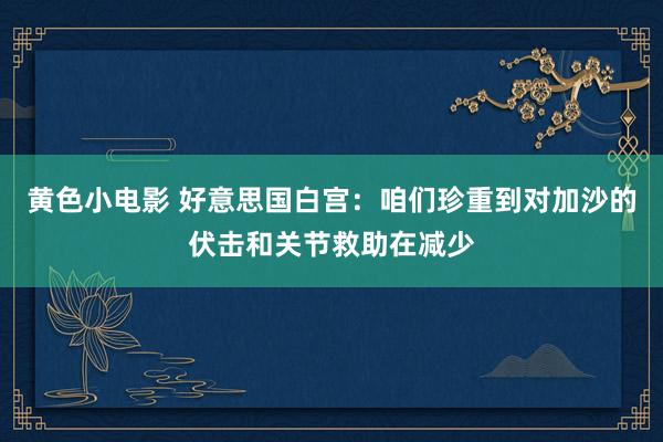 黄色小电影 好意思国白宫：咱们珍重到对加沙的伏击和关节救助在减少