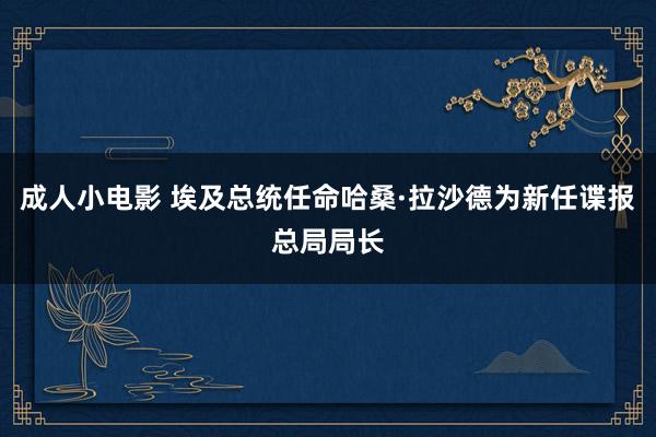 成人小电影 埃及总统任命哈桑·拉沙德为新任谍报总局局长