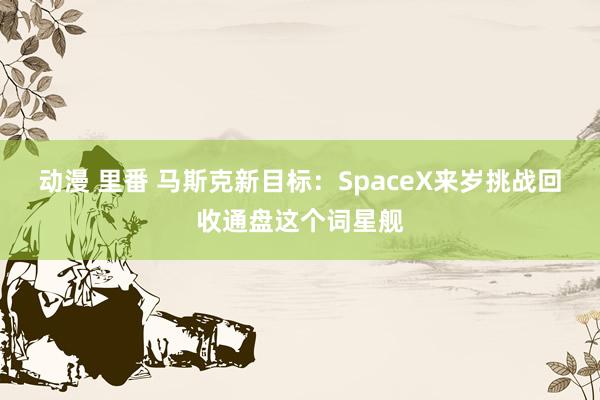 动漫 里番 马斯克新目标：SpaceX来岁挑战回收通盘这个词星舰