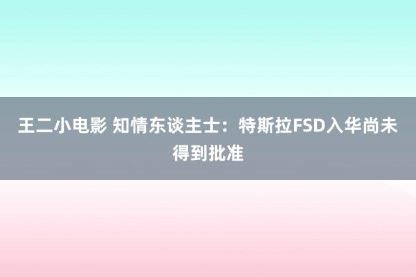 王二小电影 知情东谈主士：特斯拉FSD入华尚未得到批准