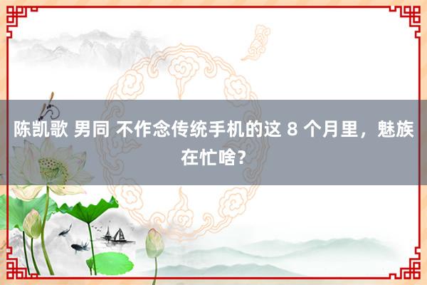 陈凯歌 男同 不作念传统手机的这 8 个月里，魅族在忙啥？