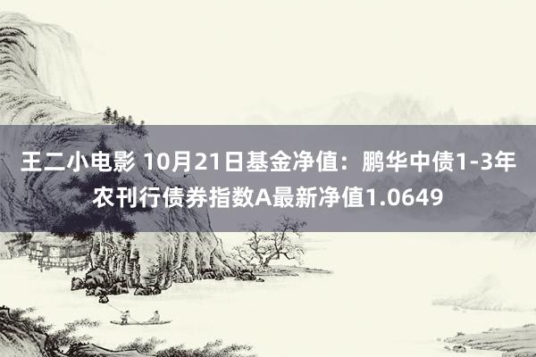 王二小电影 10月21日基金净值：鹏华中债1-3年农刊行债券指数A最新净值1.0649