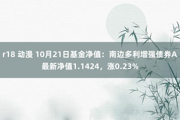 r18 动漫 10月21日基金净值：南边多利增强债券A最新净值1.1424，涨0.23%