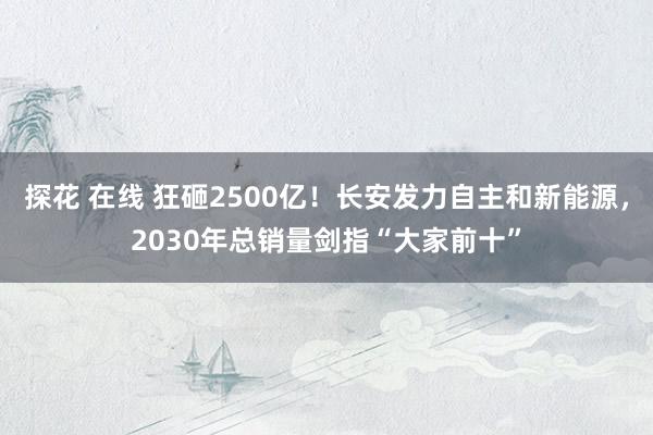 探花 在线 狂砸2500亿！长安发力自主和新能源，2030年总销量剑指“大家前十”