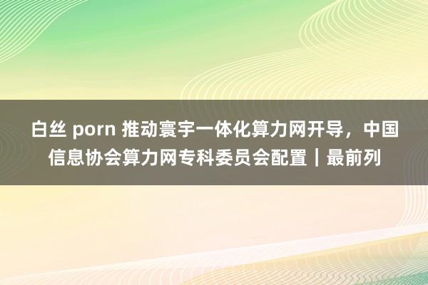 白丝 porn 推动寰宇一体化算力网开导，中国信息协会算力网专科委员会配置｜最前列