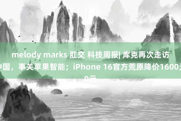 melody marks 肛交 科技周报| 库克再次走访中国，事关苹果智能；iPhone 16官方荒原降价1600元