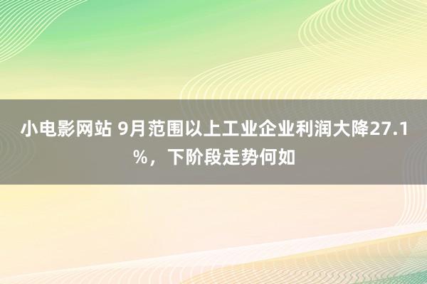 小电影网站 9月范围以上工业企业利润大降27.1%，下阶段走势何如